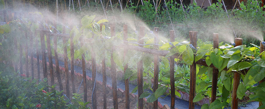 Mosquito misting