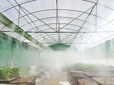 Advantages of high pressure misting spray system