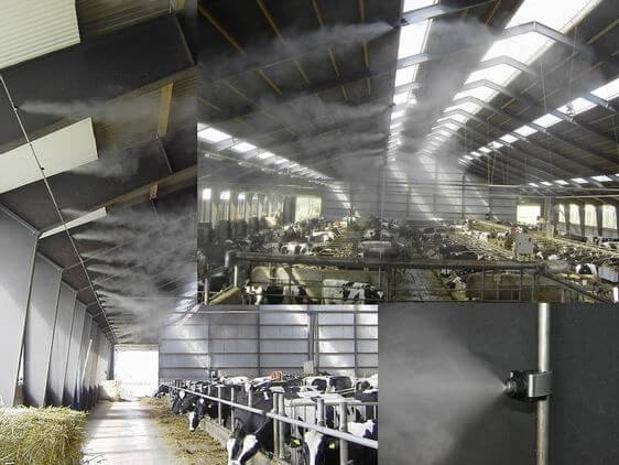 cooling mist nozzle installed in cattle barn