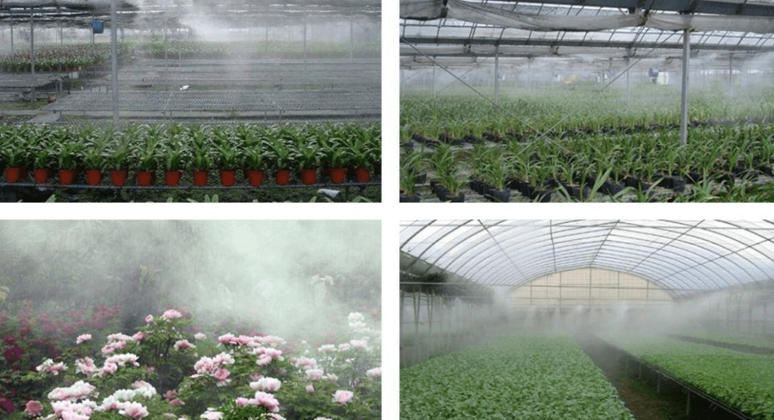 high pressure mist spray in greenhouses