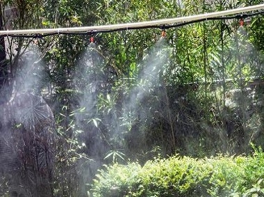 Garden courtyard automatic mist cooling system