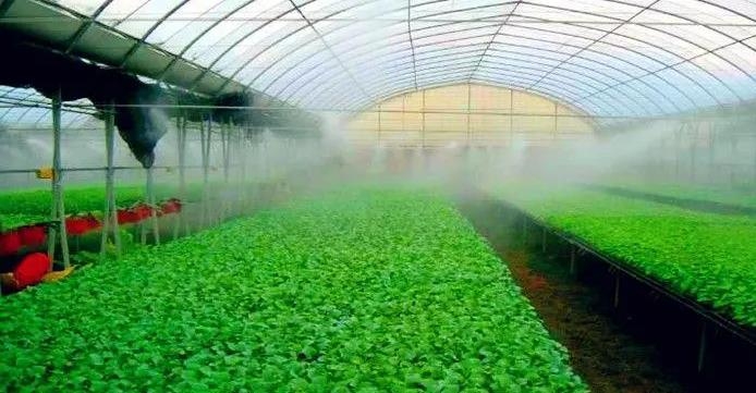 misting humidification system for plant in greenhouses