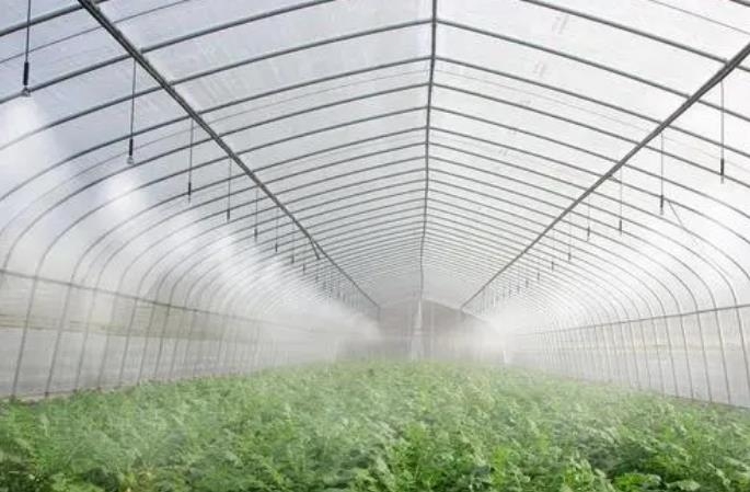 misting humidification system for plant in greenhouses