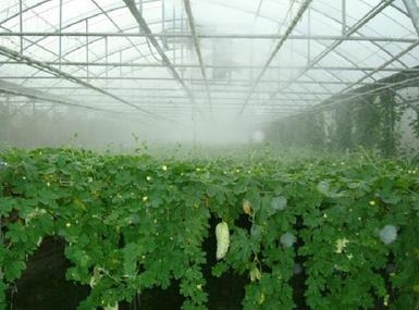 misting humidification system for plant in greenhouses