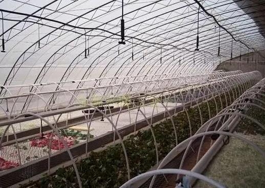 greenhouse misting system